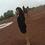 arju_singh