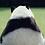 Jeff_Chen